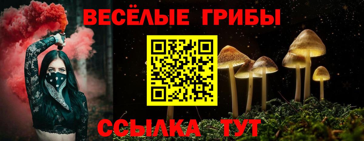 Псилоцибиновые грибы Psilocybe  Псилоцибиновые грибы Cubensis  купить наркотики сайты  Вход с VPN  Ефремов 